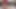 Yüz dildo - on günlük oyuncaklar ve azdırma: 6. gün