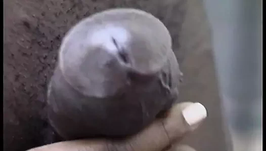 Siyah üzerinde siyah eylem ile busty abanoz ve siyah damızlık kahrolası