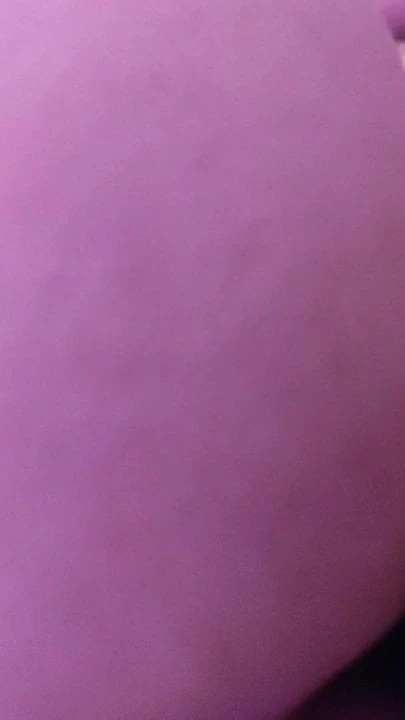 mehmet bey sevim bey