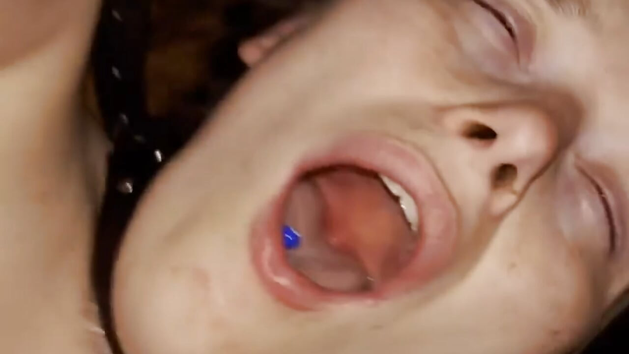 Fap derlemesi