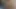 Korkak olduğunu her zaman aç için raw horoz