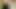 Chloe Grace Moretz dar pantolonla yürüyor.