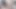 Yoradax – asyalı hizmetçi köpek sikişi
