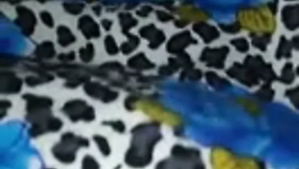 Allapu gedara 47yr nandage sepa video