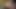 Solo kız bonnie vr içinde Mastürbasyon yaparken inliyor