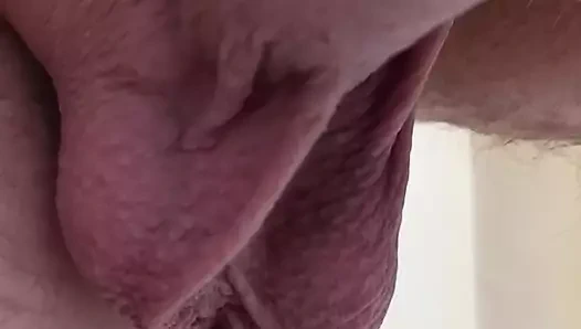 konuşan yumurtalar))