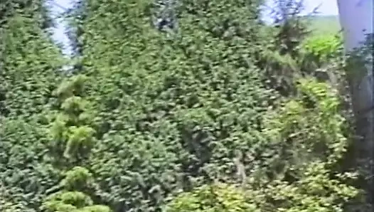 Sadece mükemmel açık havada klasik üçlü seks