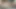 Müslüman kız Hintli güzel sert seks videosu