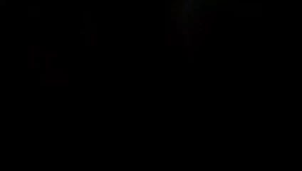 Mike tabanlı İsa Davinci'nin eşek çekimleri