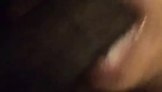 Güney doğu çük yiyen