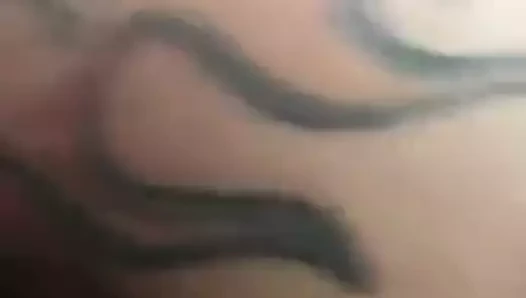 Büyük ganimet latina becerdin at iş