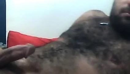 kıllı kalın horoz cub