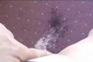 halı üzerinde pissing