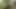Aman tanrım! Büyük zenci yarağı x videosunda ilk kez sıkı bakire amcığımı açıyor.