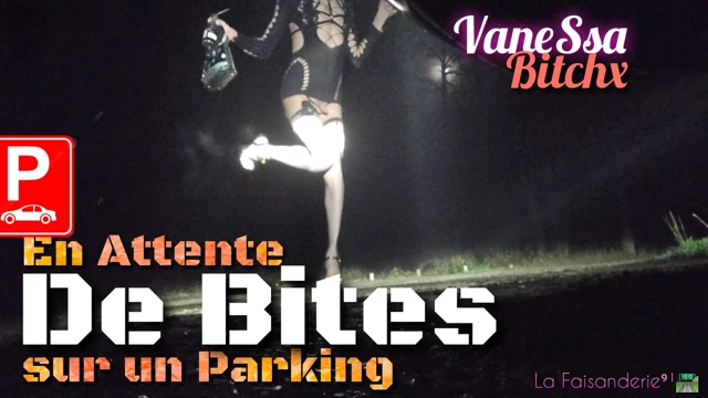 Waiting for nice cocks,🌜ass in the air in a parking lot at night. La Faisanderie91 VaneSsaBiTCHx PariSChienneTrvprod91