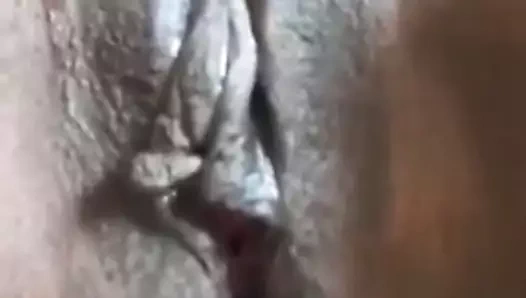 Congolaise  chatte filante