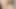 Pov: licking the pussy of the biggest ass girl in school, with cumshot in the ass