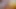 Botanist-kurye yanlışlıkla porno çekimine bindi ve dörtlü seks yapıyor