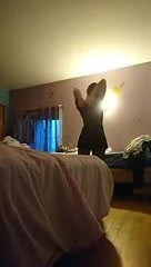 Kardeş içinde hukuk iç çamaşırı ve külotlu çorap