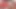 transeksüel porno niclo (30)