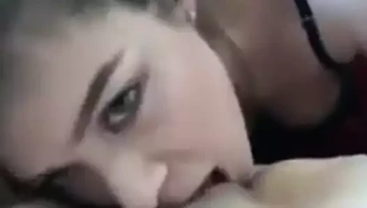 kedi yeme