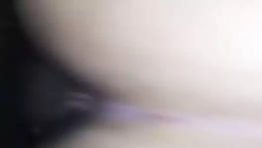 Çılgın eski alma the çük köpek