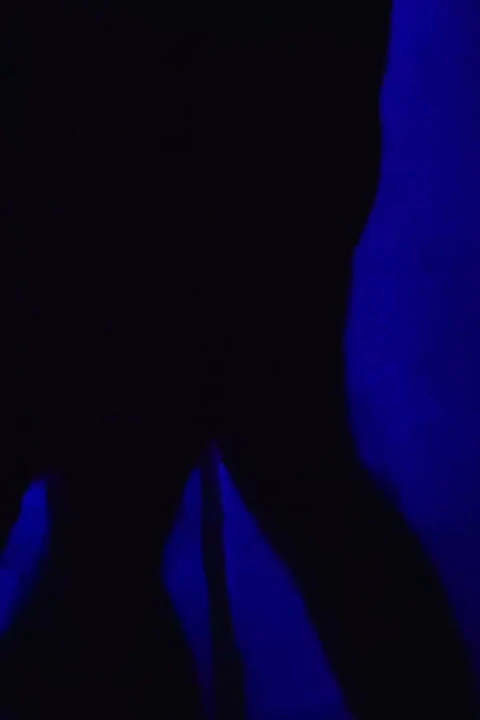 Seks xxx video desi kızlar
