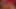 Latina reitet nach dem Shooting den Schwanz