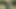 Bu kızıl saçlı Belçikalı ne istediğini (penis) biliyor ve istediğini yapıyor