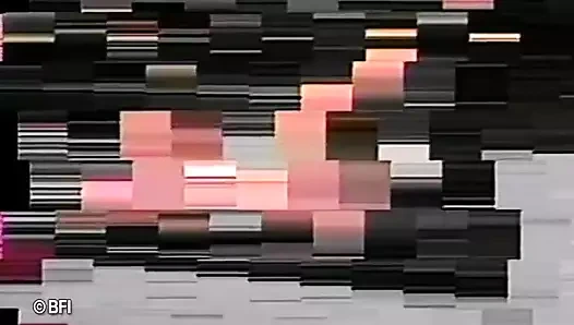 Esaretin en iyi mücadelesi 2 - dvd