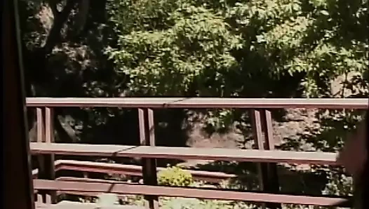 Sarışın lezbiyen büyük memeler havuz kenarında oyuncak!