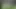 Naughty Boy Gets Punished with Nettles in the Middle of a Forest!