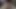 Sınırlı deneyime sahip Akita Yerlisi mi? İlk başta çok utangaç, ama yabancı, ezici bir sansasyona karşı koyamıyor