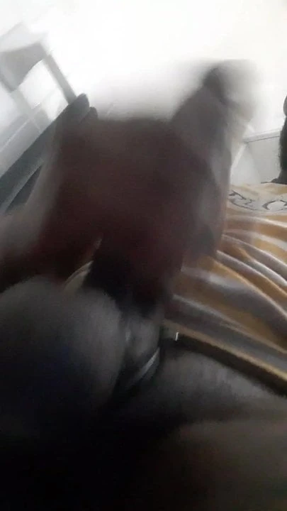 Mrbi11216 kriko bbc1