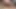 Şişman domuz amına dildo ile vurur - inkar - aşağılama