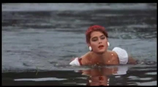 Brook kalkanları -brendastar