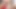 Dove cameron seksi kırmızı elbiseler