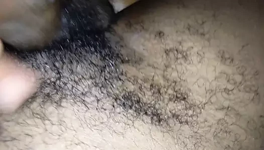 Siyah horoz ve papua adım anne