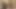 18 videoz - linda bebeğim - kedi kumar borcunu ödüyor
