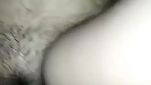 amzing kedi dokunmadan