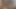 Sevimli Hintli evli kadın kocasıyla sikişiyor