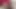 Ateşli kızıl saçlı dildo emiyor ve götüne sokuyor