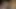 Seksi Hintli kadın sevgilisini seks için davet ederken kocası