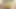 Siyah4k. monique hizmetçi olarak çalışıyor ama ona bbc almak istiyor