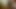 cdnikki seviyor anal