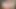 Vixen bunny fanta sie ve büyük boyutlu dildo