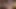 Kafes kapalı! Sweetfemdom elana bunnz mike'ın yarağını azdırıyor