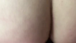 arkadan sıkı KEDİ