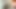Büyük götlü travesti Nicolly Pantoja dildoyla sikişirken birini sikiyor