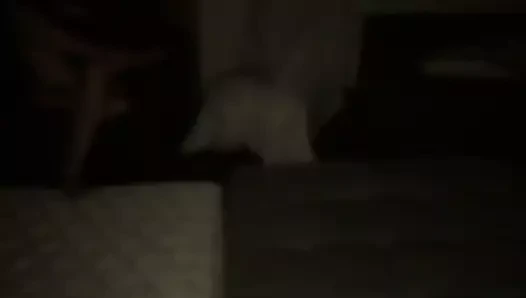 Partouse multi Anvers que j organise